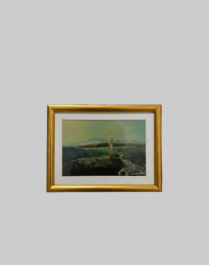 Landschap (Schemerig)